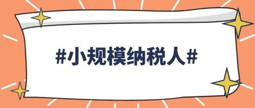 解決企業進項和成本問題,一般納稅人和小規模納稅人核定同時運用